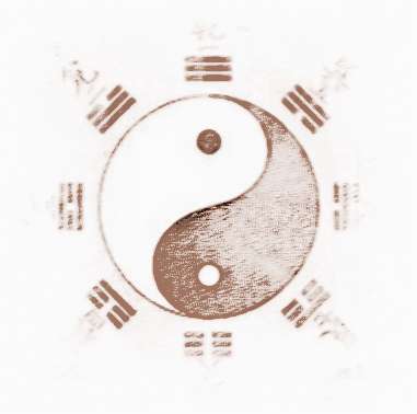 88年五行属什么