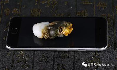 钟馗什么生肖