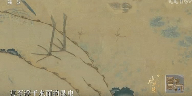 看见白鹭有什么寓意