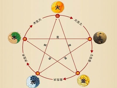 肝在五行中属什么