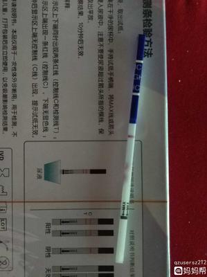 体外怀孕是什么意思