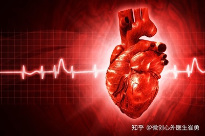 人体心脏可以换吗,有心脏能活多久?