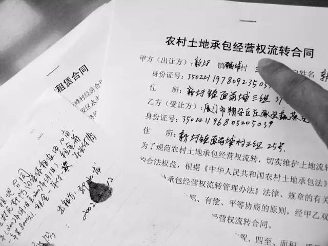 土地租赁合同无效