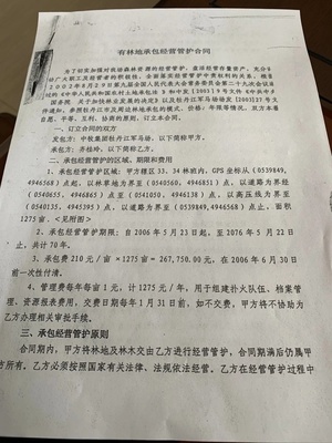 林地承包期限法律规定