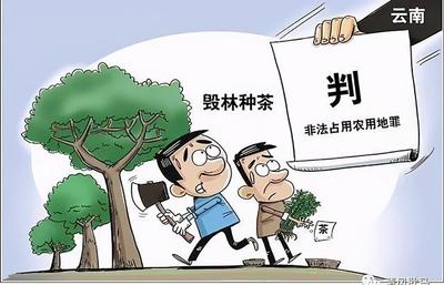 非法占用农用地罪立案标准