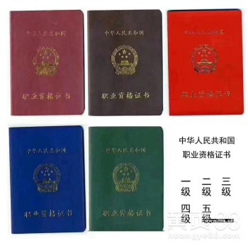 中级美容师证