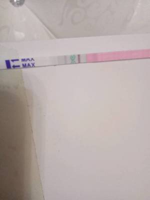 排卵期不是排卵日会怀孕吗