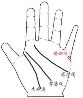 男左手婚姻线图解大全