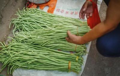 香港豆角多少钱一斤
