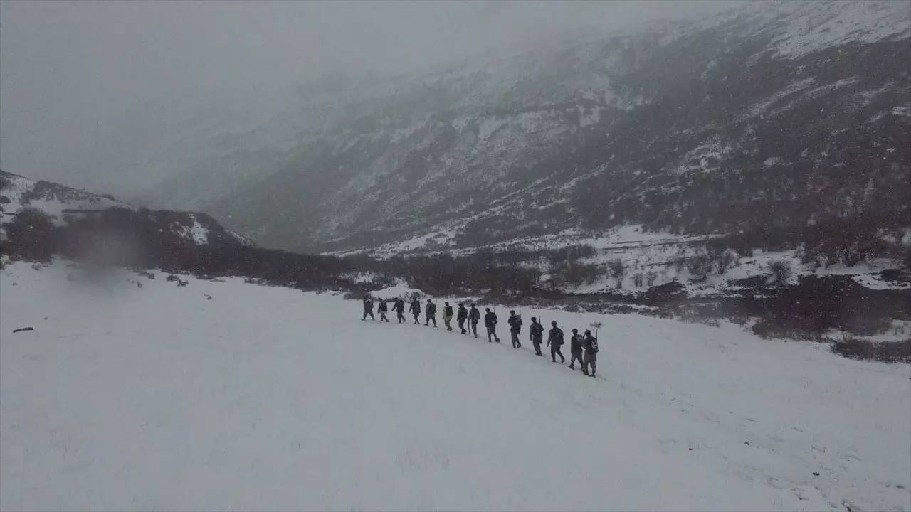 剧照