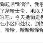 小区取名集锦