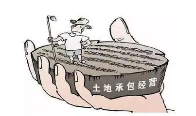 土地纠纷