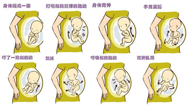 肚子里的宝宝怎么呼吸