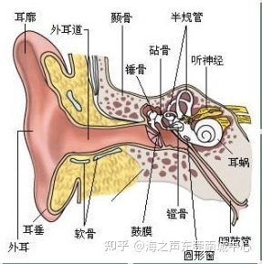 前庭功能眩晕怎么治疗
