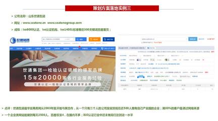 胶州SEO,胶州网站优化排名哪家好