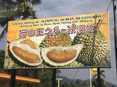 注册验船师是中级职称吗