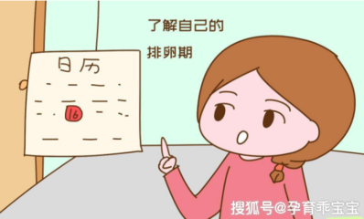 排卵期注意什么