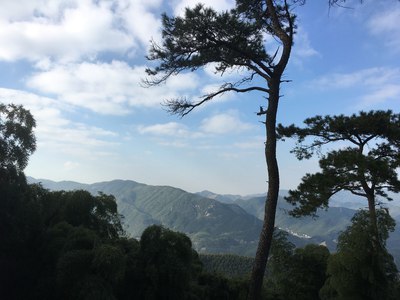 上海到莫干山多少公里