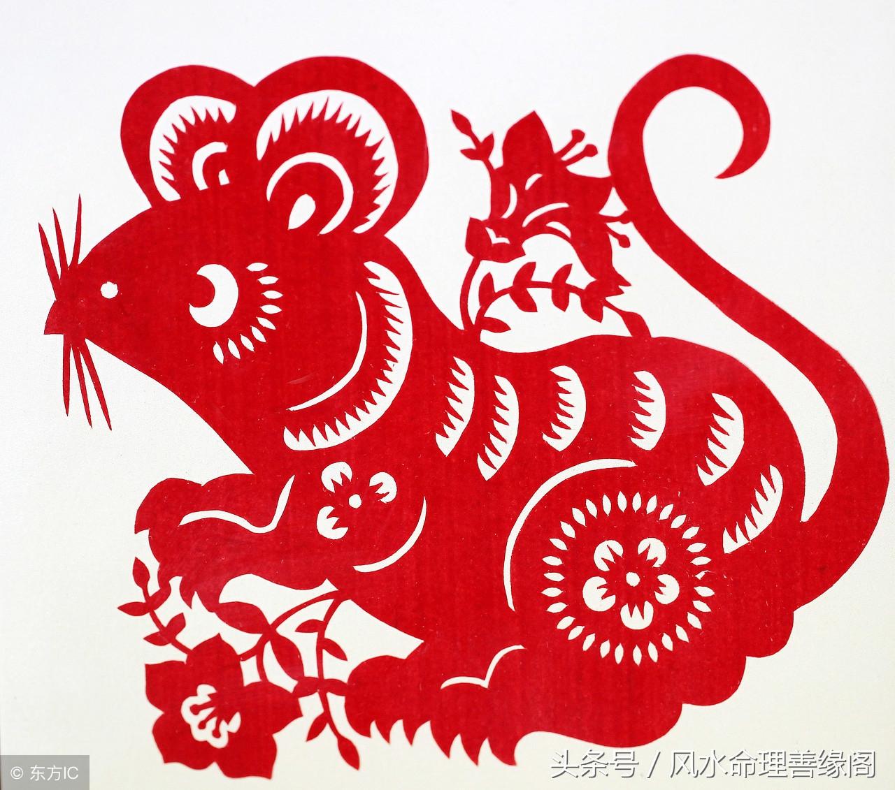 十二生肖今天的运气