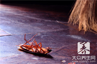 房间好多蟑螂怎么办