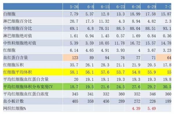 宝宝红细胞分布宽度偏低