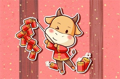 牛年是什么命