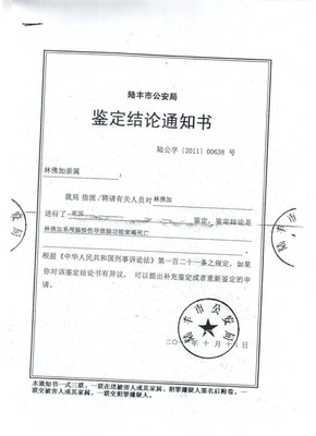 鉴定结论属于什么证据