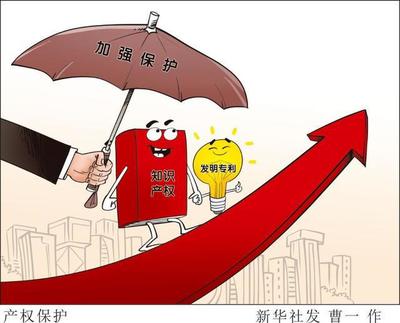 知识产权案例