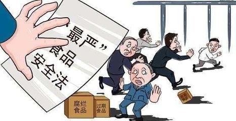 哪个国家法律最严