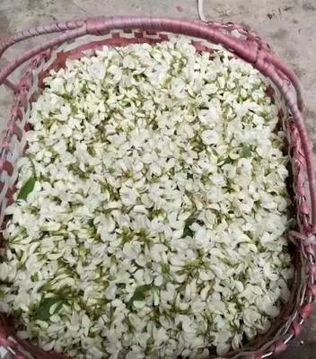 梦见自己养的花枯萎了