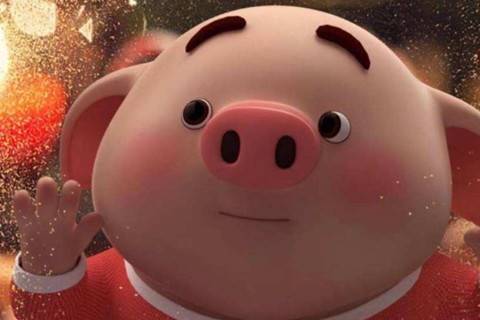 属猪人今年运势
