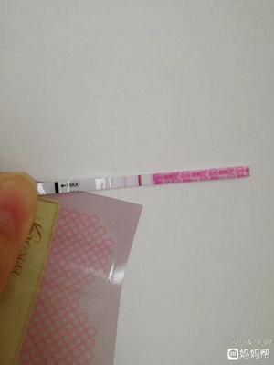 排卵期能吃感冒药吗
