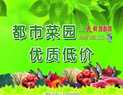 好听的菜地名字
