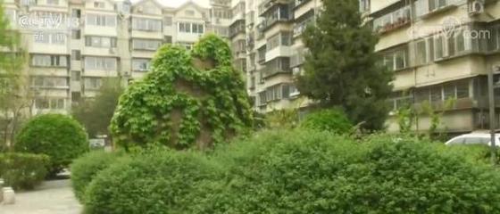房产证上房屋性质