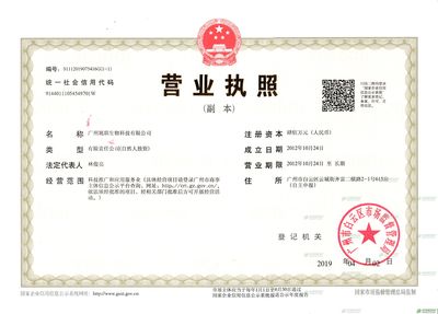 公司的法人代表是什么意思