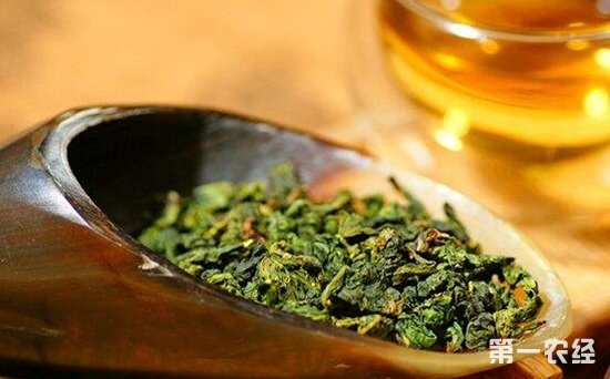 哪些茶是乌龙茶