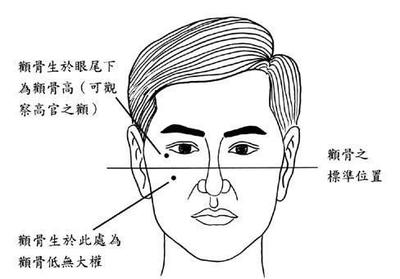 颧骨面相分析