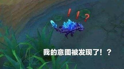 河蟹有什么功效作用