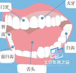 梦见自己掉牙好不好