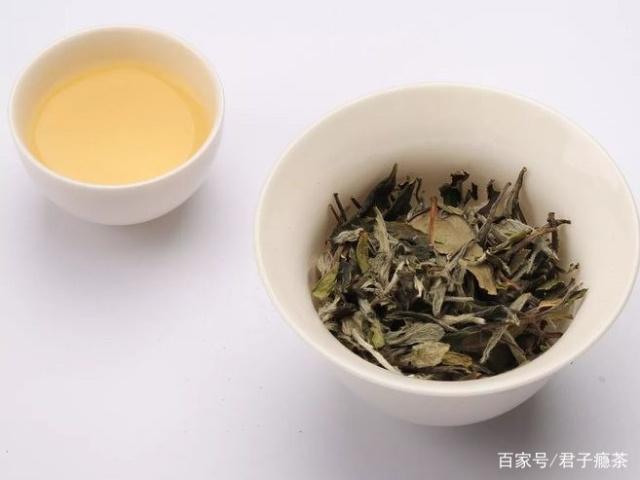 白牡丹白茶