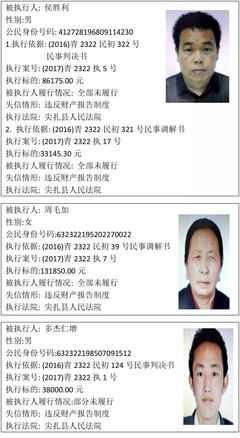 被执行失信人