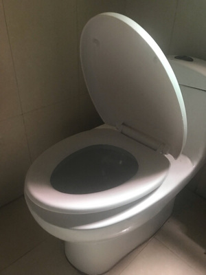 老式马桶
