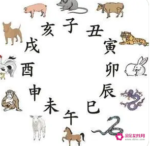 12生肖配对姻缘禁忌