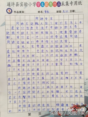 安全网络文明上网作文小学