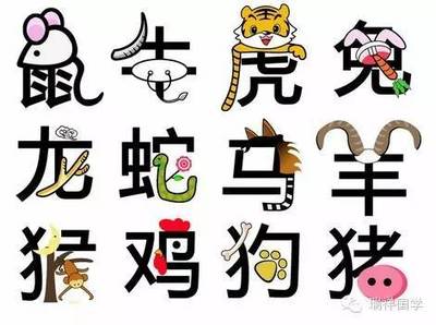 属相怎么划分
