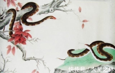 77年的蛇五行属什么