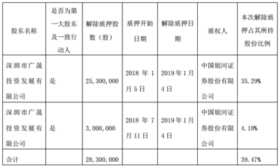 股东基本情况怎么写