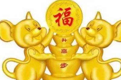 属鼠和属鸡的配吗