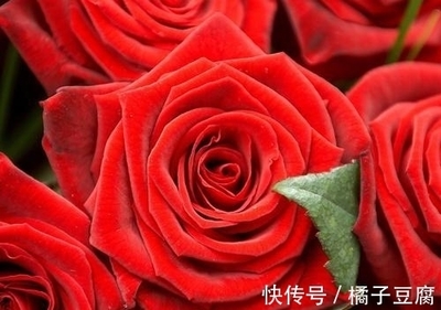 属虎和属羊的合不合财
