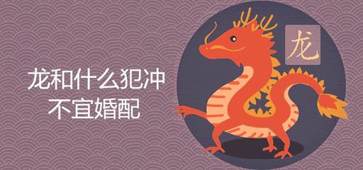 属龙和什么相克